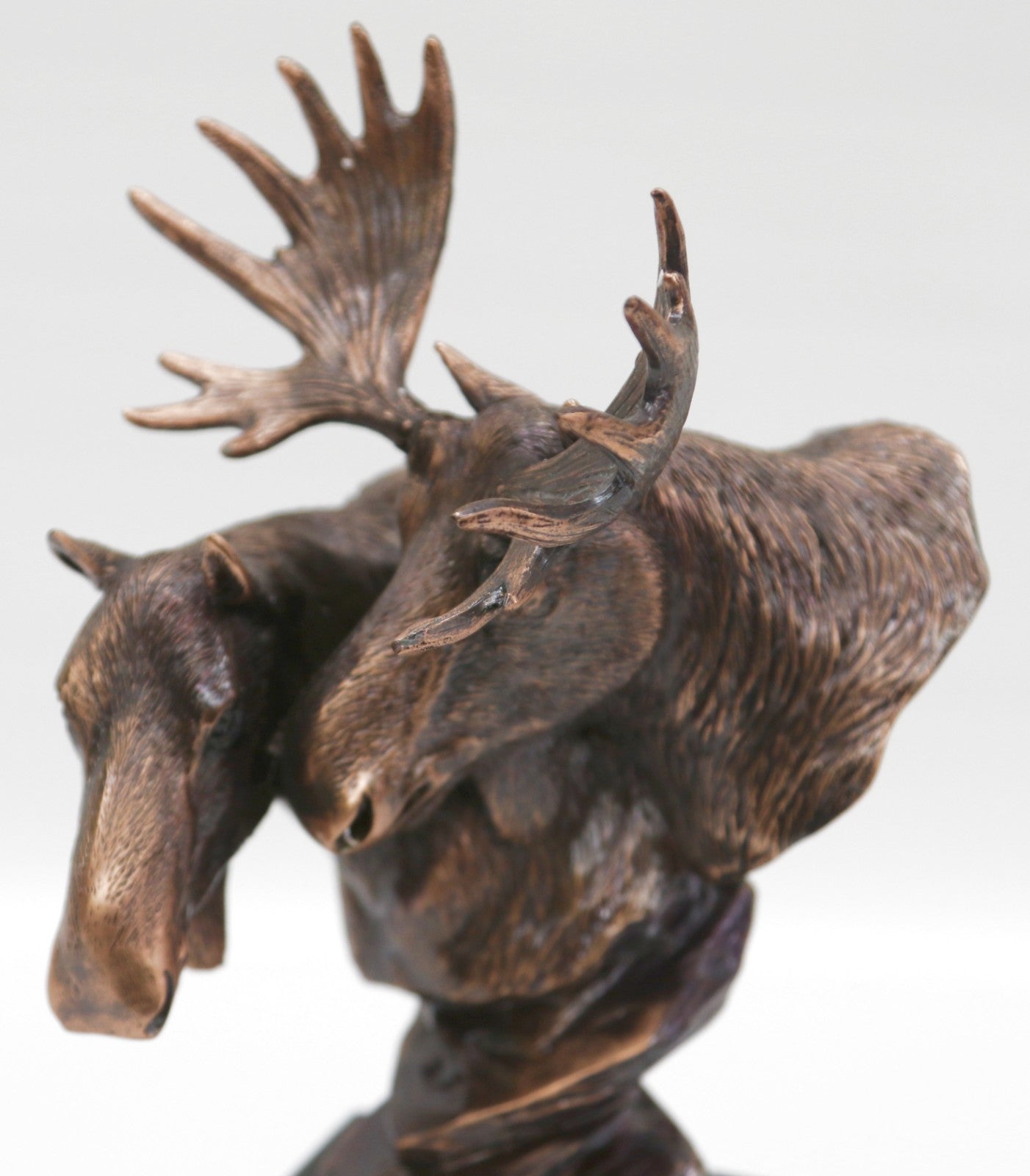 North American Majestic Moose Trophy Head Desk Sculpture by European Finery