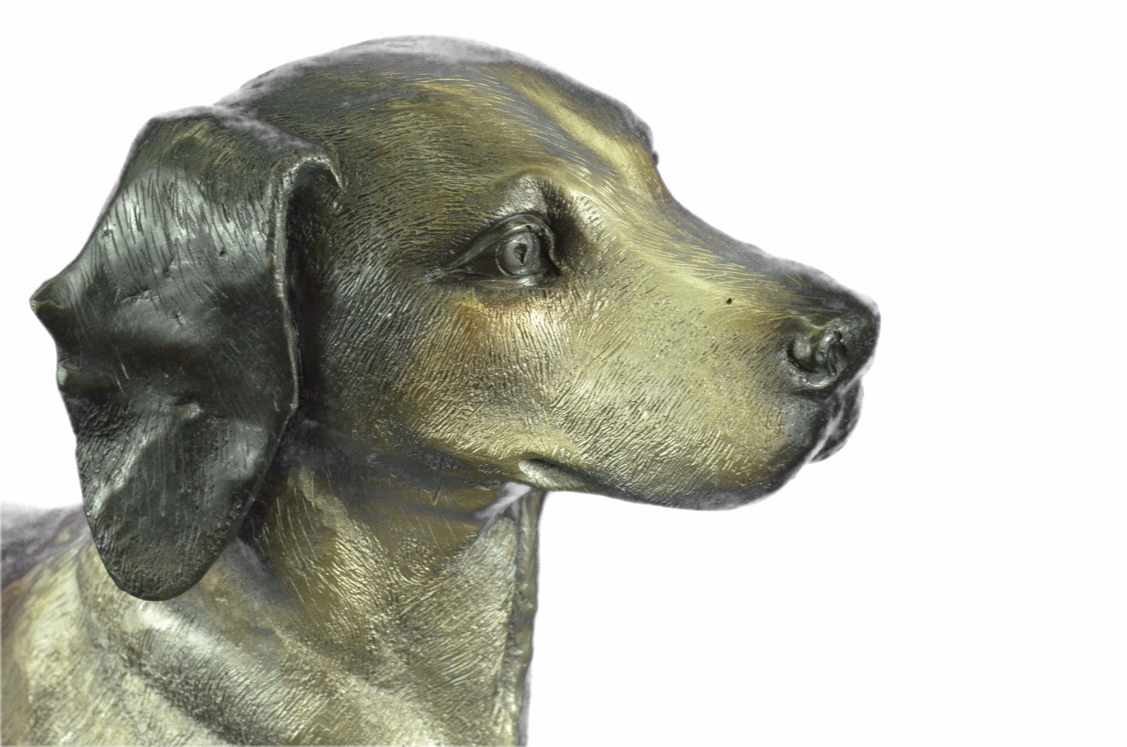 Foxhound Dog Bronze Sculpture Collectible Collector Detailed Figurine Hotcast