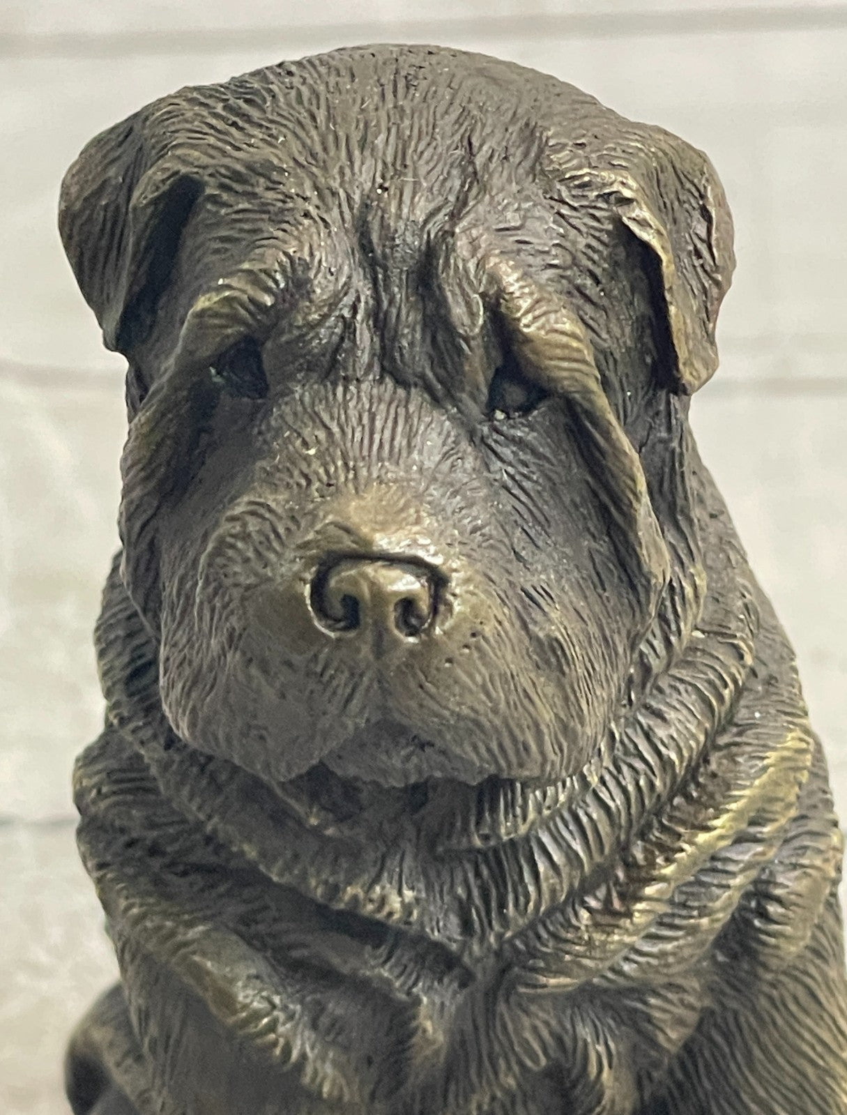 Fuzzy shar fashion pei